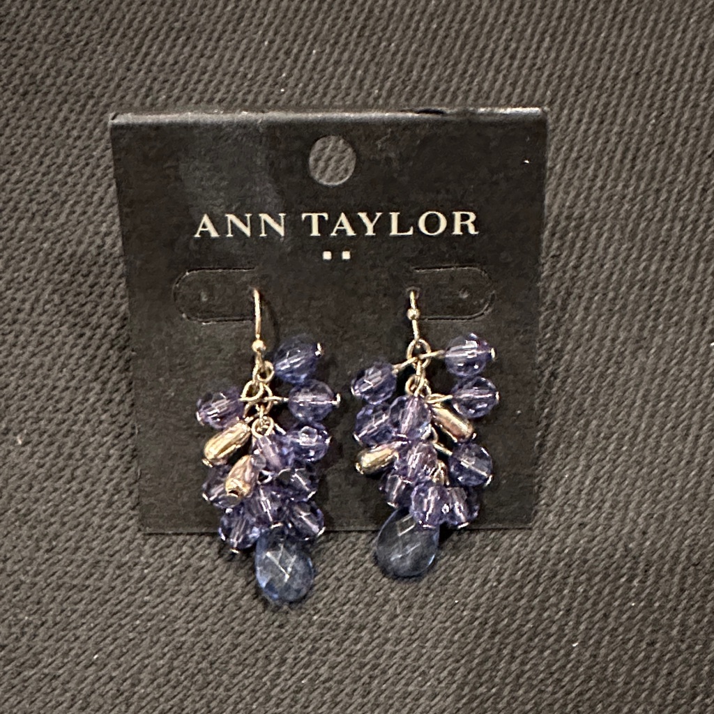 Ann Taylor Beaded Earrings 18$